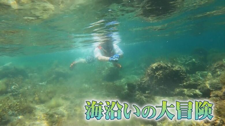 岩場を歩くだけでなく水中散歩も
