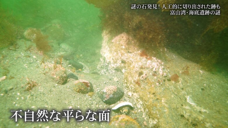 海底で見つけた平らな面がある岩