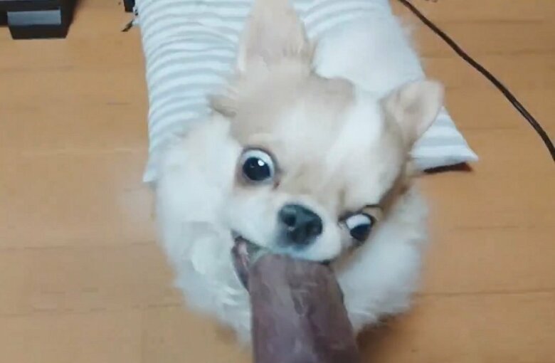 そして、そのまま口を閉じずに食べ進める