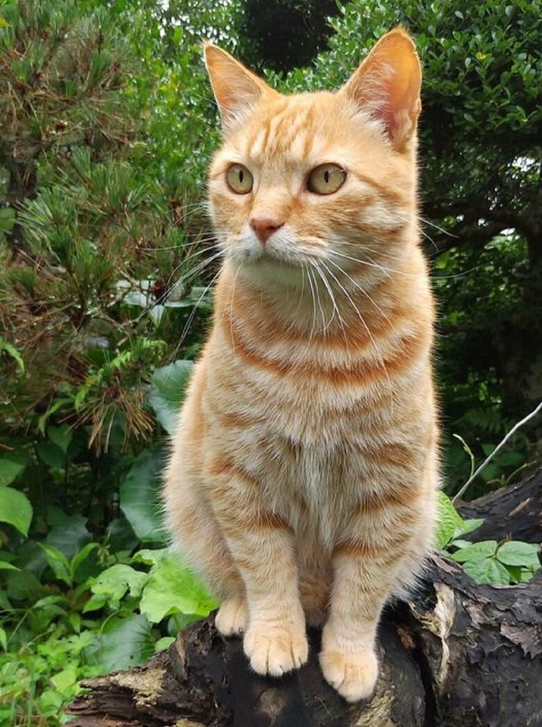 凛と周囲を警戒中？