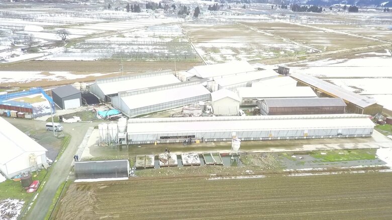 細川さんの養豚場　さらなる規模拡大を狙う