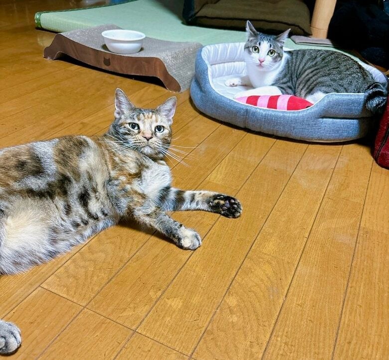 左：茶子ちゃん　右：琥珀くん