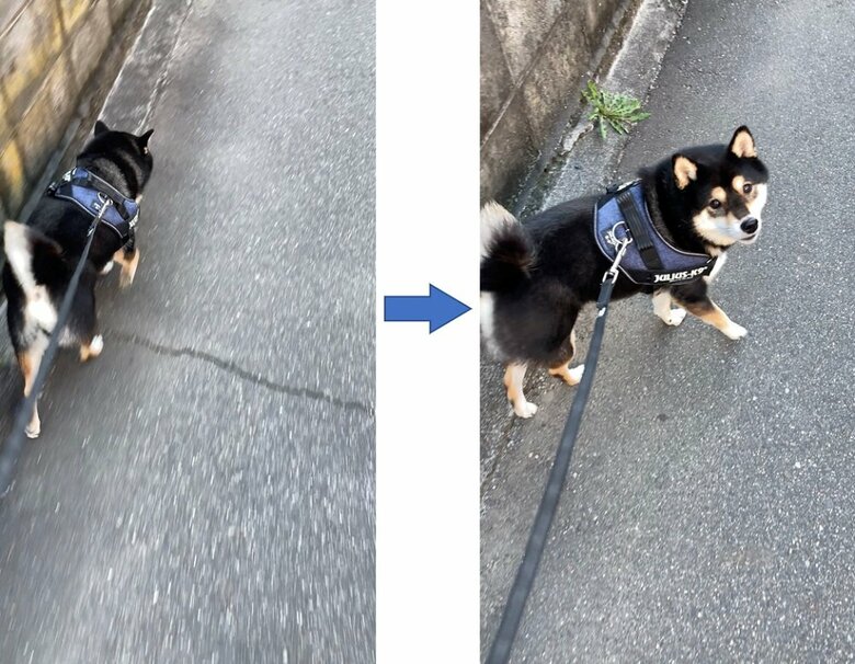 名前を呼ぶと振り返ってくれる「なあに？」