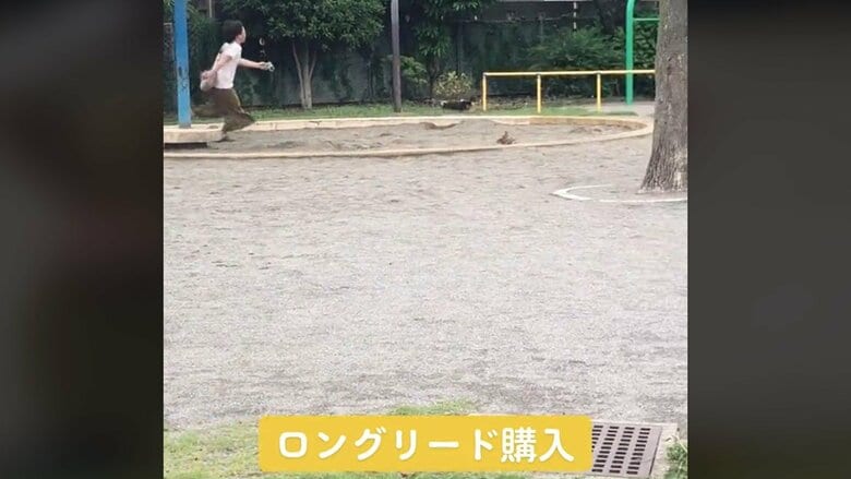 ロングリードを購入したが…小太郎くんは止まらない