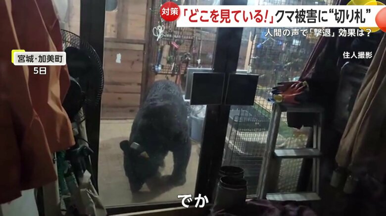 5日夜に宮城・加美町でカメラが捉えたクマの映像（住人撮影）