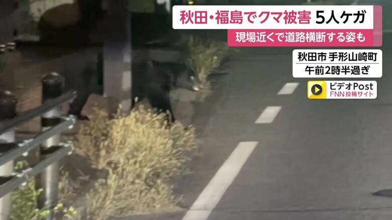 深夜の道路を住宅街に向かって横断するクマ①
