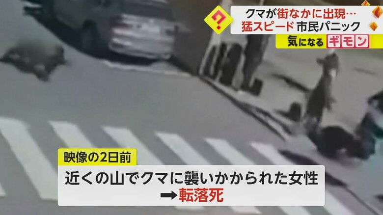 この映像の2日前に、近くの山でクマに襲いかかられた女性が転落死