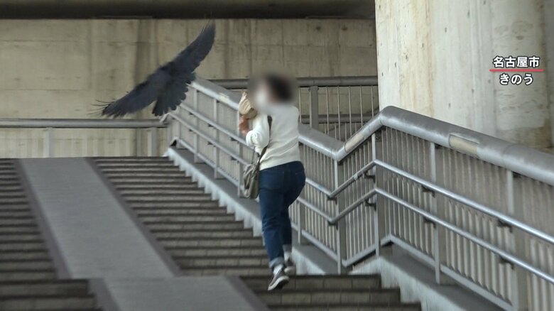 高速道路の高架下