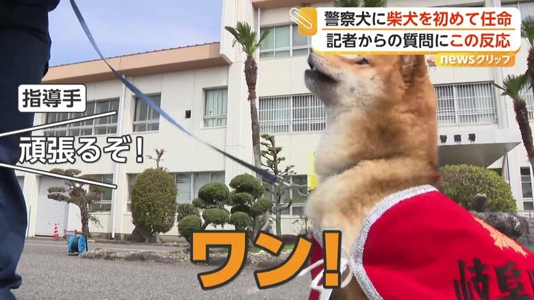 しっかりと指導手を見据えて「ワン！」と答えていたつぶ