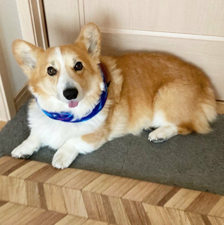 提供：むぎん家＠きよらさん