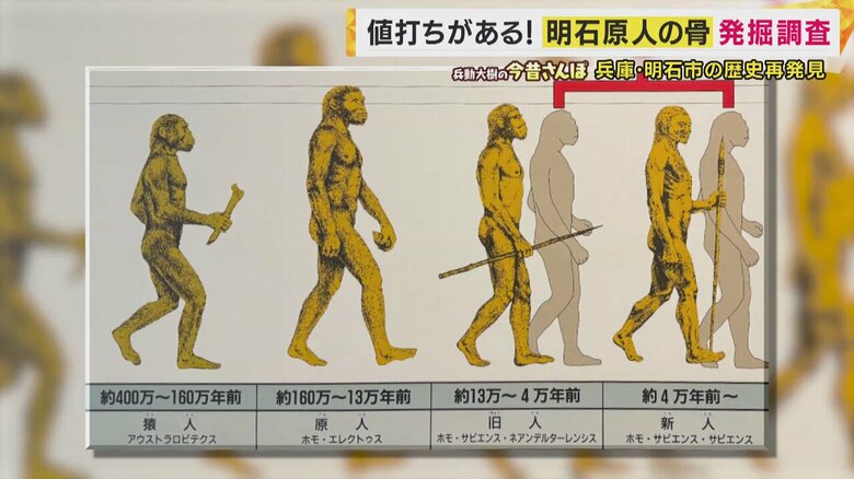 人類の進化