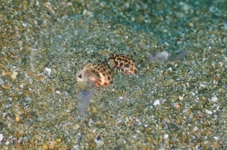 細い腕を使って