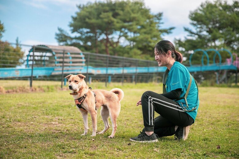 ピースワンコ・ジャパン事業は犬の殺処分ゼロを目指す