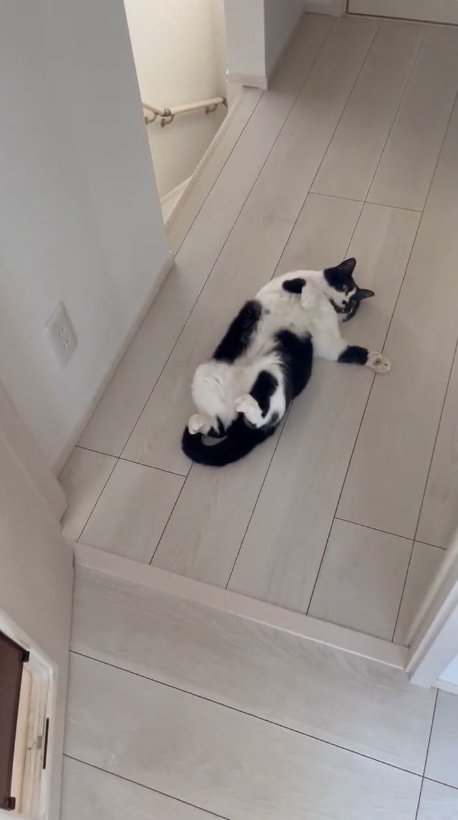 提供：卵山玉子先生