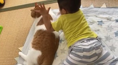 提供：Hassakuさん