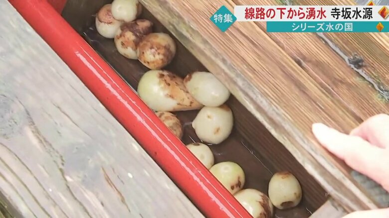 皮が向けた里芋のできあがり