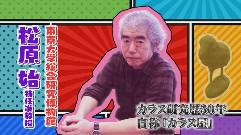 自称「カラス屋」松原特任准教授