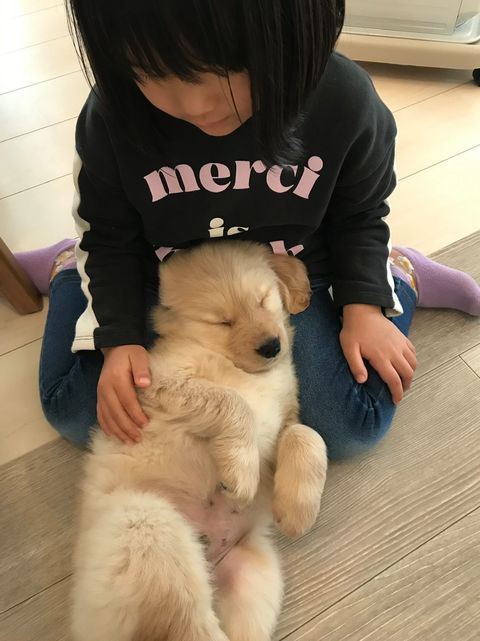 提供：西村 まひろさん