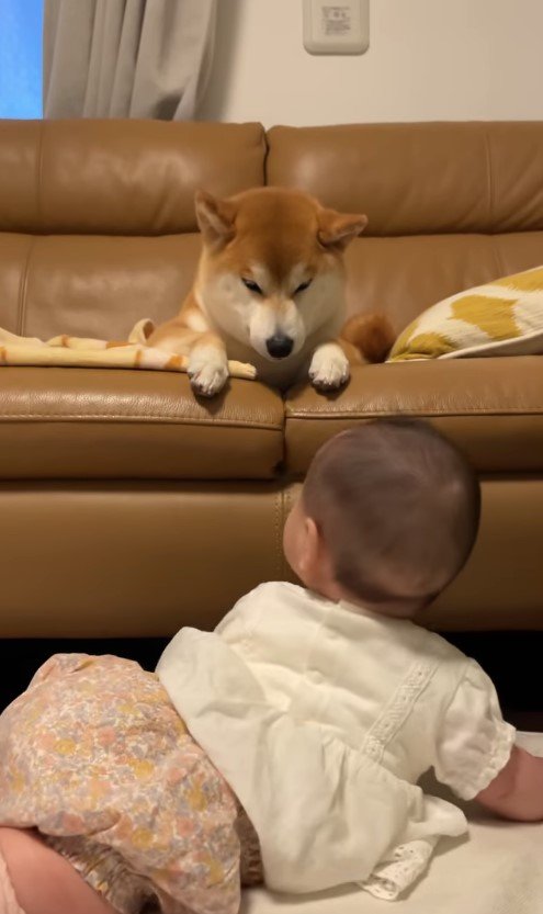 提供：torakichi602さん