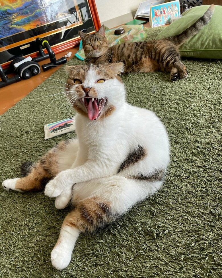 あくび！