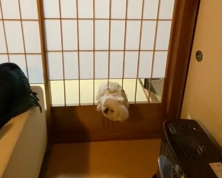 よいしょっ