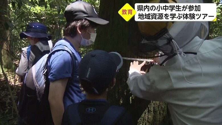 幹の太さはどれくらい？