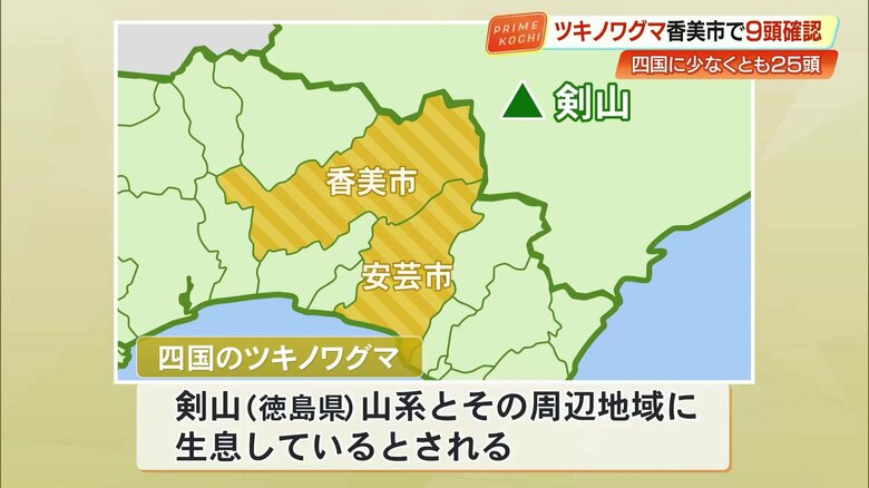 「ツキノワグマ」の生息エリア