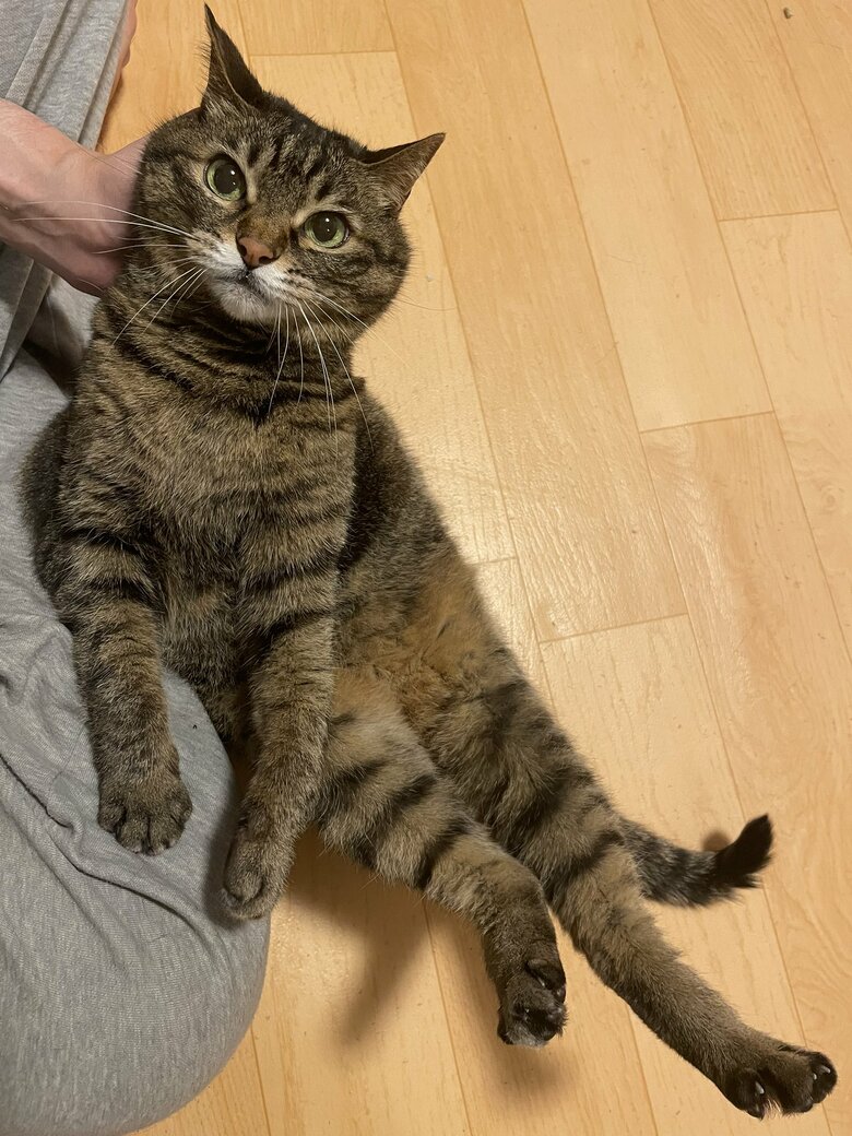 提供：えーさん