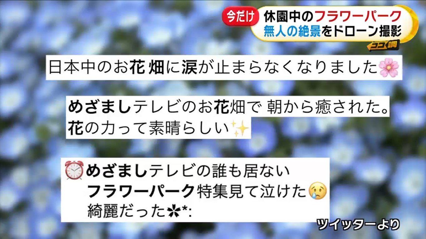 大反響 無人のフラワーパーク特集第2弾 新型コロナで休園中だからこその奇跡の絶景