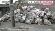 シーミーのゴミ放置多発　「マナー守って」那覇市が注意喚起