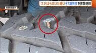 「危険な運転する車に仕返しを」弥彦山スカイラインに“ネジ”ばらまいた疑いで67歳男性を書類送検　現場では12台の車でパンク確認　新潟