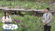 5月21日（木）宮崎の天気
