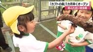 石川県ふれあい昆虫館で『カブトの森』オープン！6月4日（むしの日）にあわせて今年は1カ月前倒しに
