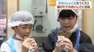松山市で体験イベント　”夏休み限定”手作りじゃこ天をつくって食べよう【愛媛】