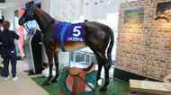 札幌競馬場で「馬具展示＆鞍づくり」　武豊騎手オリジナルモデルを2年かけて開発「普段フォーカスされることがない馬具や鞍を知っていただきたい」
