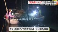 日本一奪還目指す！「佐賀海苔」今年は史上最も遅い解禁 10月からは排水対策施設稼働も【佐賀県】