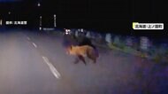 暗闇から突然飛び出してきたのは…体長1メートルの熊　走行中の車と衝突　車は破損も熊は山の中へ　北海道・上ノ国町