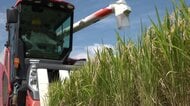 生産コスト上昇に“見合わない”コメの値下がり　農家は苦悩「国は何もしない」　大型機械の更新計画も立てられず