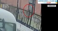 広島市中区の学校近くにサル出没か… 「子ザルのようだった」 現時点でけが人・その後の目撃情報はなし