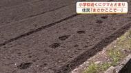 小学校や保育施設近くでクマ目撃相次ぐ　猟友会が駆除　目撃の個体と同一か　秋田・横手市