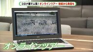 4000円でケニアのサファリ やってみました“オンラインツアー” 令和版!やじきた道中も 静岡