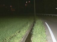 17歳高校生が用水路で倒れ溺死 現場から20m程離れた場所に自転車倒れる 事故と事件の両面で捜査