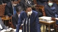 安倍首相 航空会社支援表明 消費税ゼロは否定