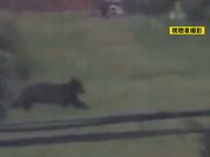 北海道では男性が襲われ死亡…岐阜県内でも『クマ』の出没相次ぐ 高山市では学校のすぐ近くでも目撃情報