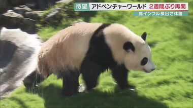 パンダも元気な姿 アドベンチャーワールド営業再開 殺処分の鳥など弔う献花台も【和歌山発】