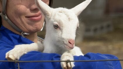 “春の足音”赤ちゃんヤギ誕生　上野公園あすから“桜祭り”　一方沖縄では“ひょう”SNS「AIじゃないの?」