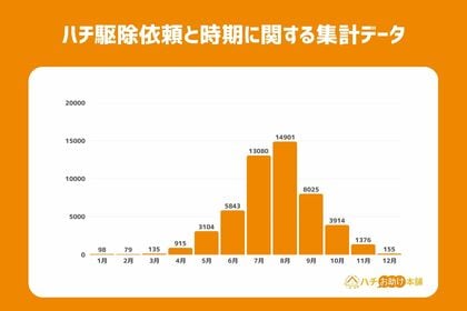 蜂の活動ピーク到来!夏から秋にかけて増えるハチのトラブルに要注意