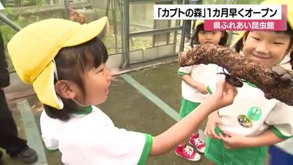 石川県ふれあい昆虫館で『カブトの森』オープン！6月4日（むしの日）にあわせて今年は1カ月前倒しに