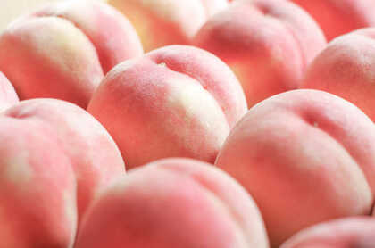 ふるさと納税、この悪魔のシステムは改良の必要がある