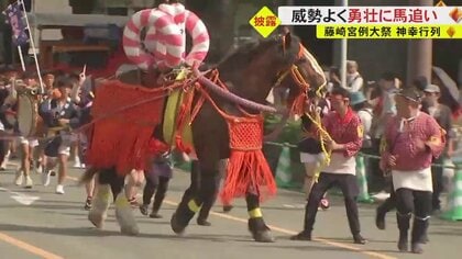 「藤崎八旛宮例大祭」 4年ぶりに通常規模で開催　勇壮な馬追い…飾り馬には約1万2000人の勢子が参加【熊本発】